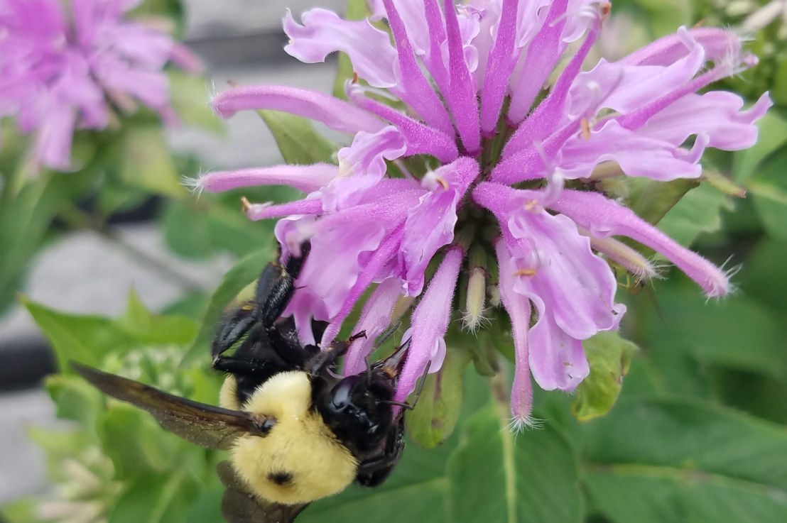 Relationship Communism