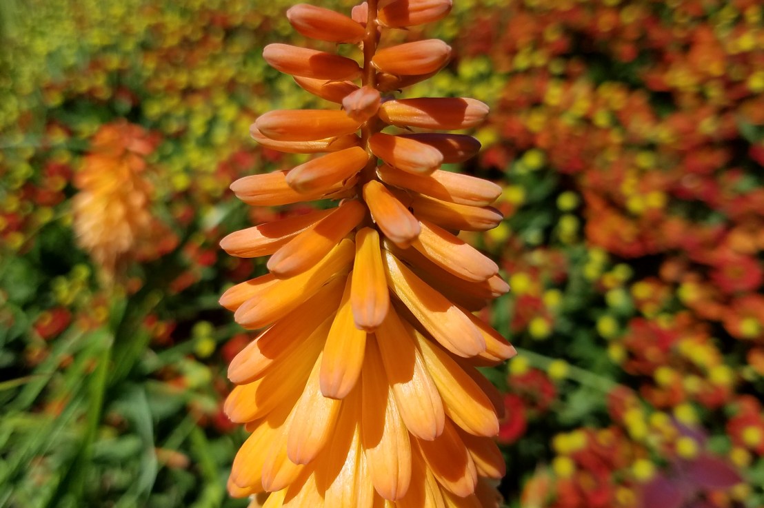 National Coming Out&nbsp;Day