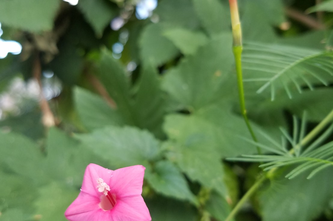 Sympathy for the Feminist Men Who Used to be “Nice&nbsp;Guys”