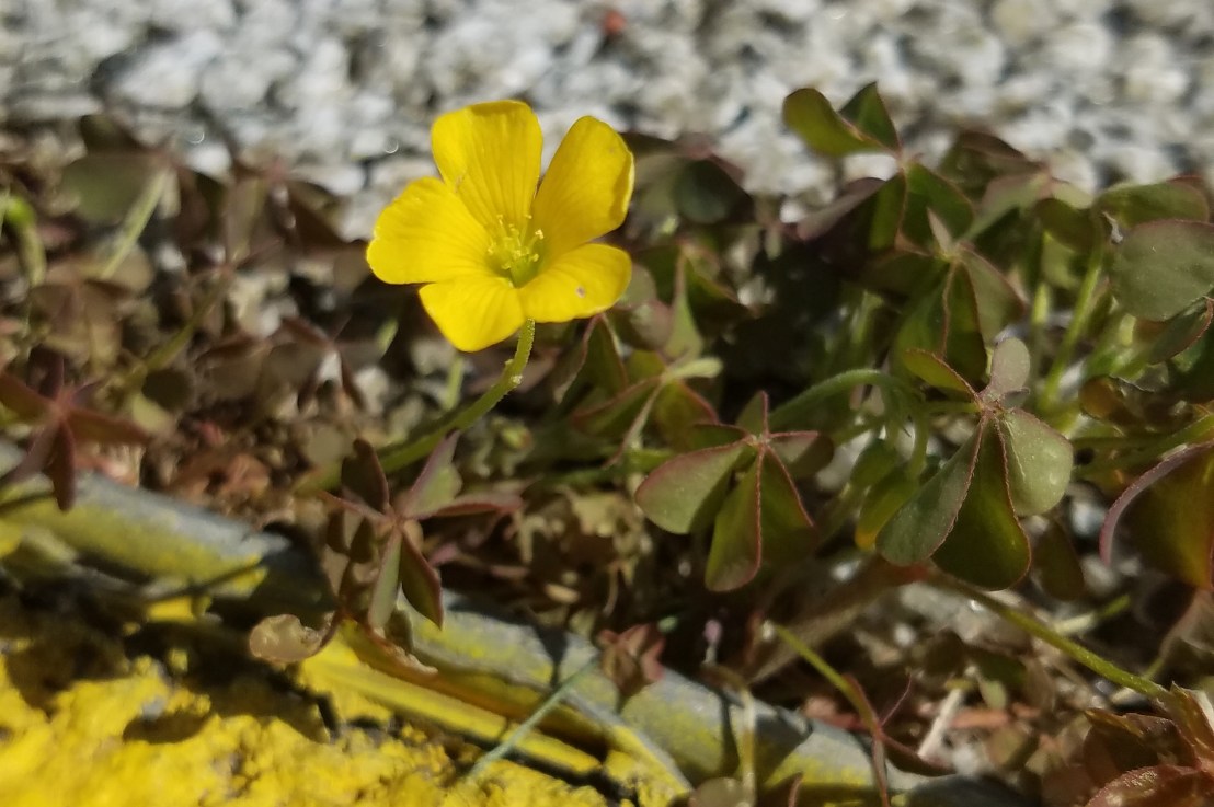 Humanizing Client Relationships