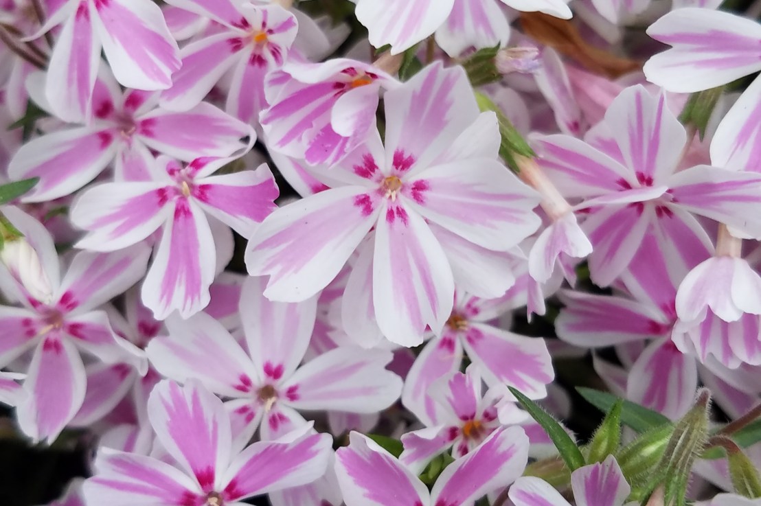 Intersectionality and Sexual&nbsp;Assault