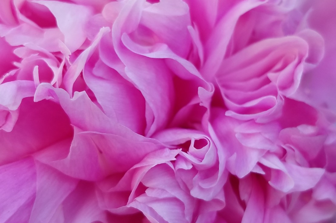 Equality vs. Justice