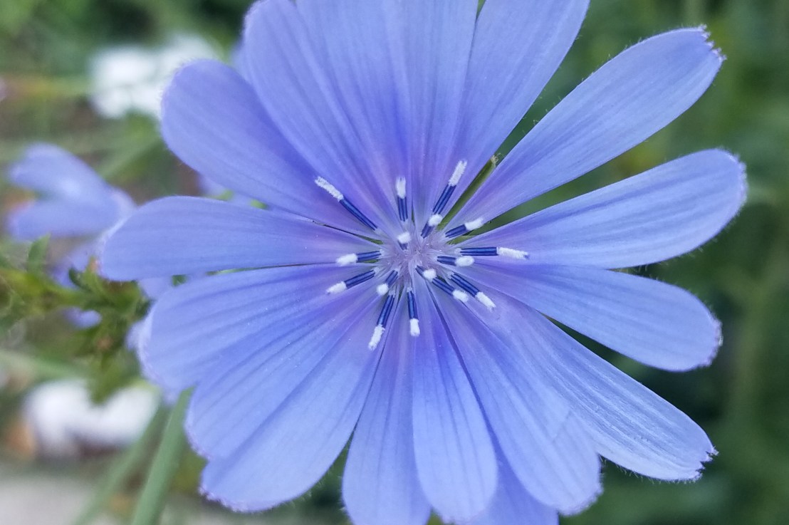 Don’t Forget to Fight&nbsp;Racism