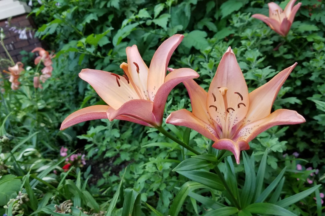 You don’t have to love my mental illness