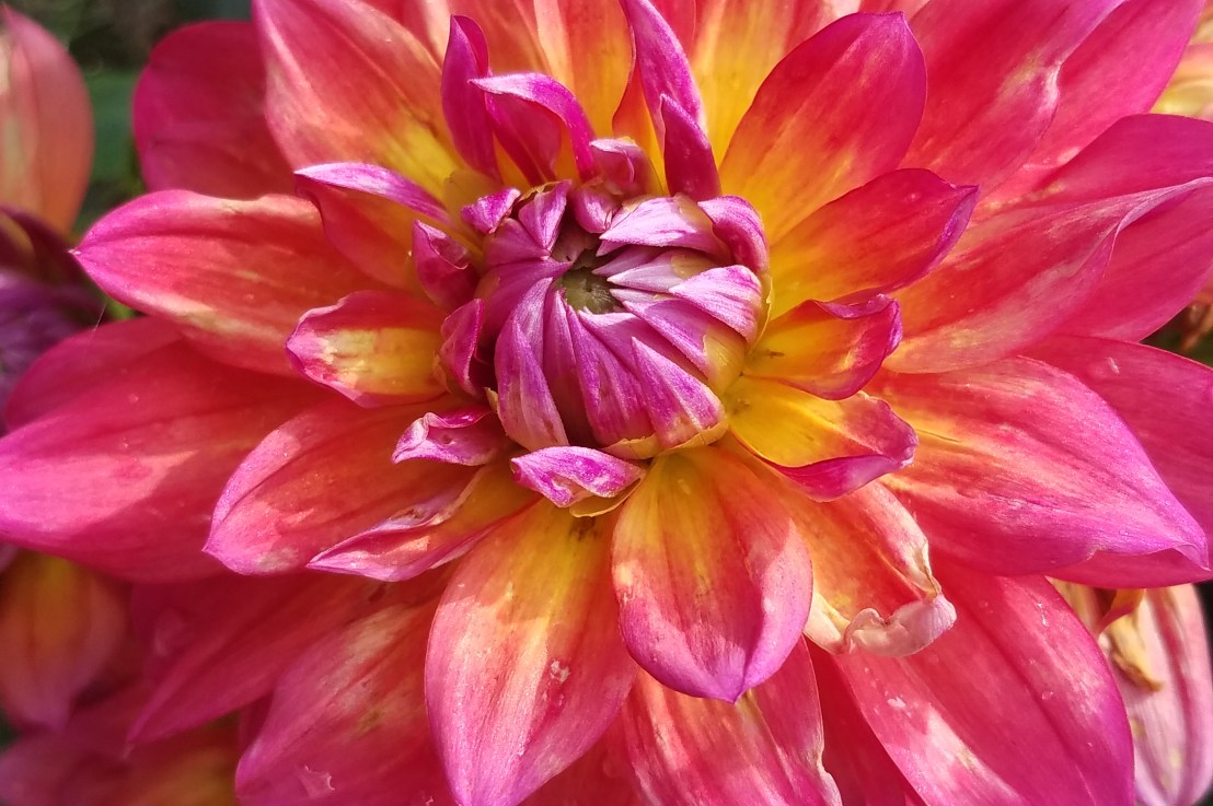 Fight the Tax&nbsp;Bill