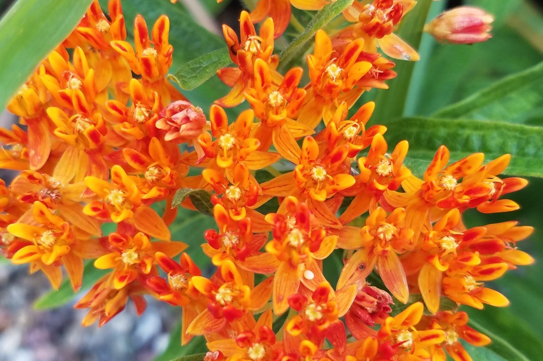 Message and Email&nbsp;Scripts