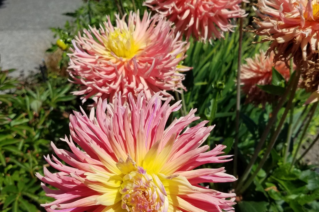 Learning Communication – Part&nbsp;II