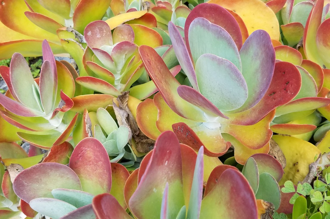 “Yes Means Yes”&nbsp;Consent