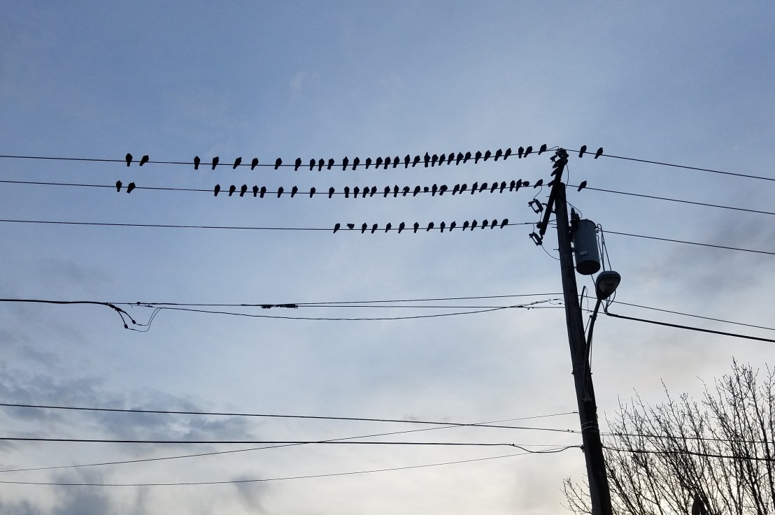 Appreciating Boundaries