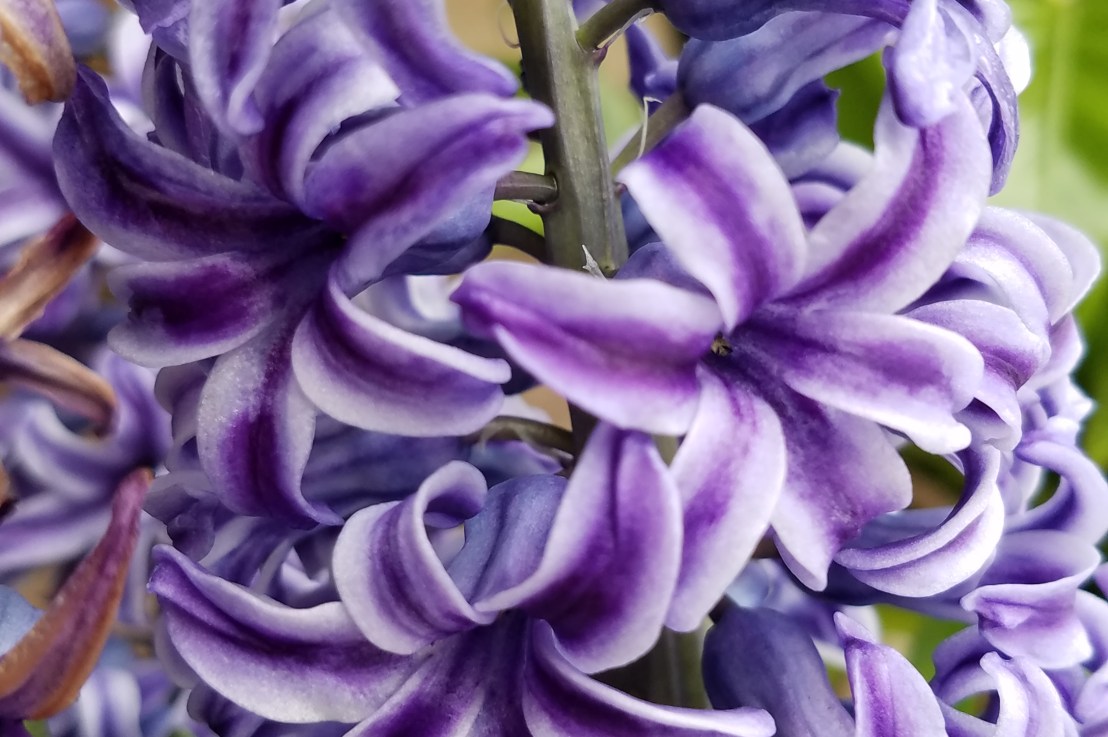 Learning Communication – Part&nbsp;I