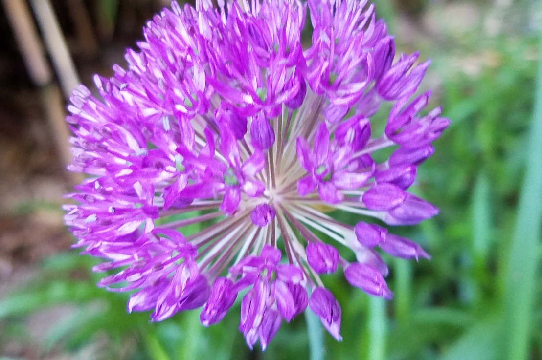 Compromises! Or, the Thumb&nbsp;Trick