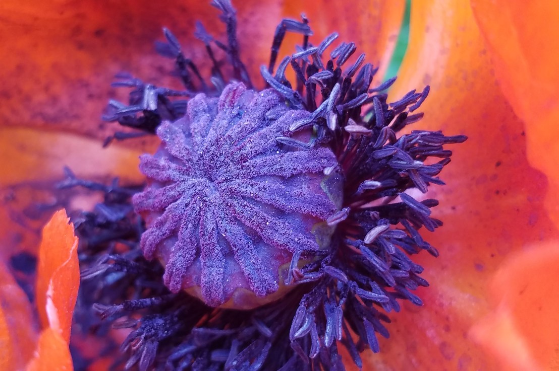 Enthusiastic versus Explicit&nbsp;Consent