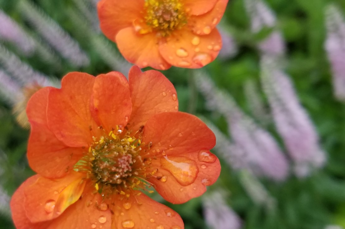 Sandwiches as a&nbsp;Metaphor