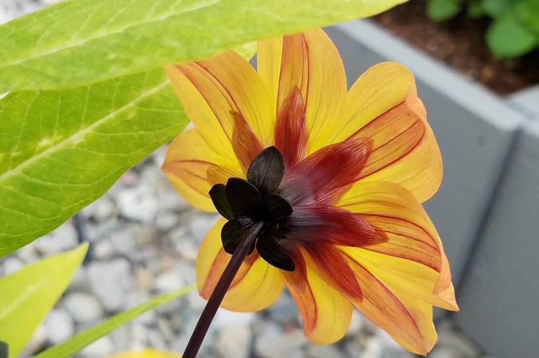 Negligent Sexual Assault