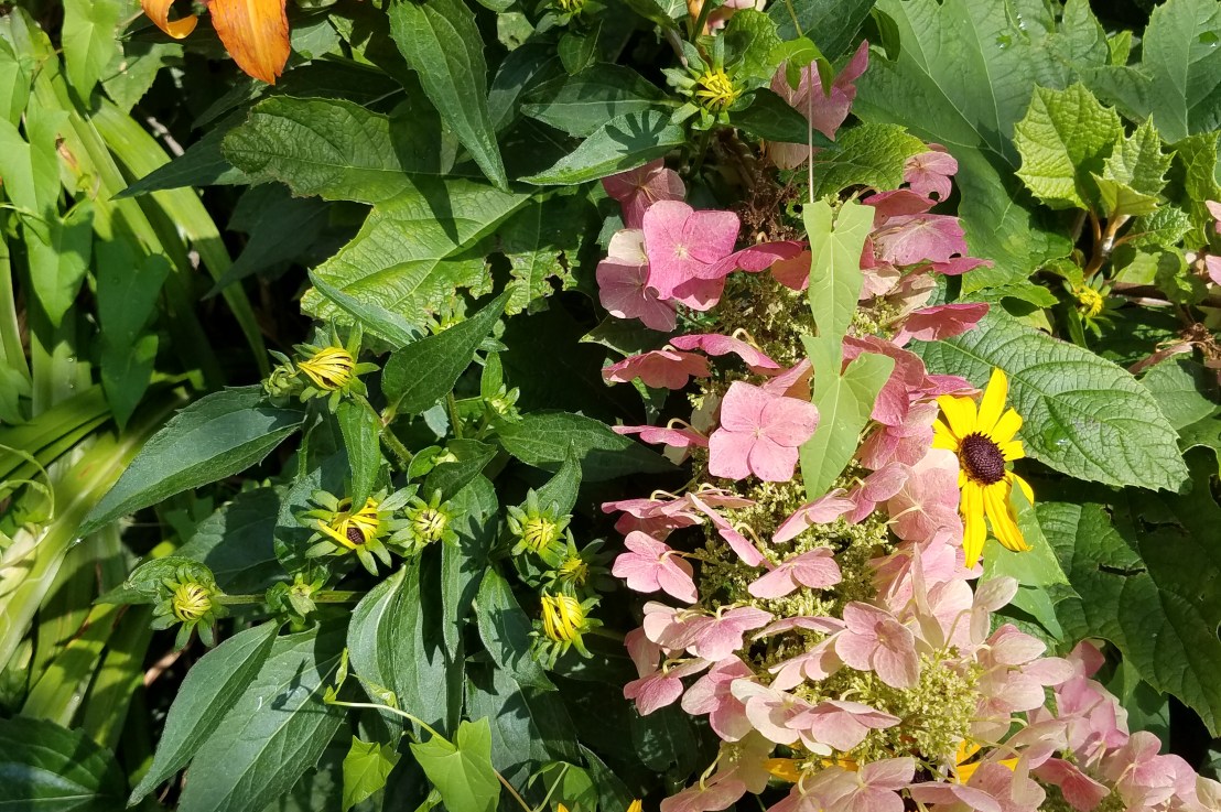 It’s Time to Talk About Age&nbsp;Gaps