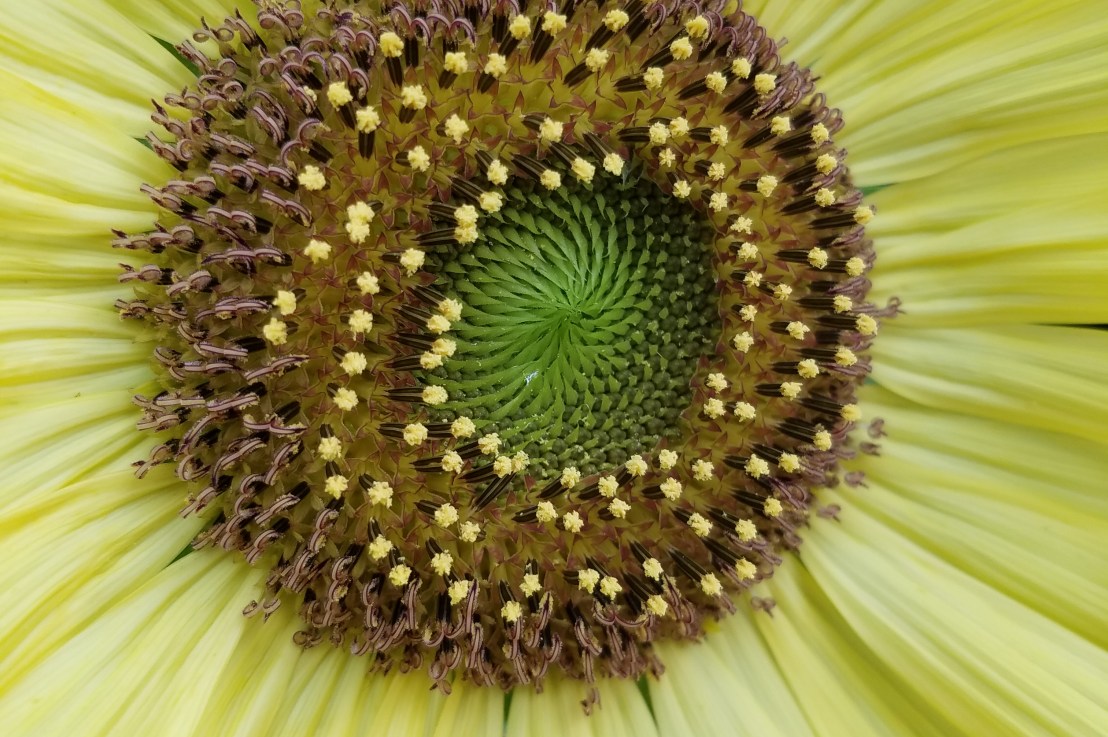 sometimes people get&nbsp;upset