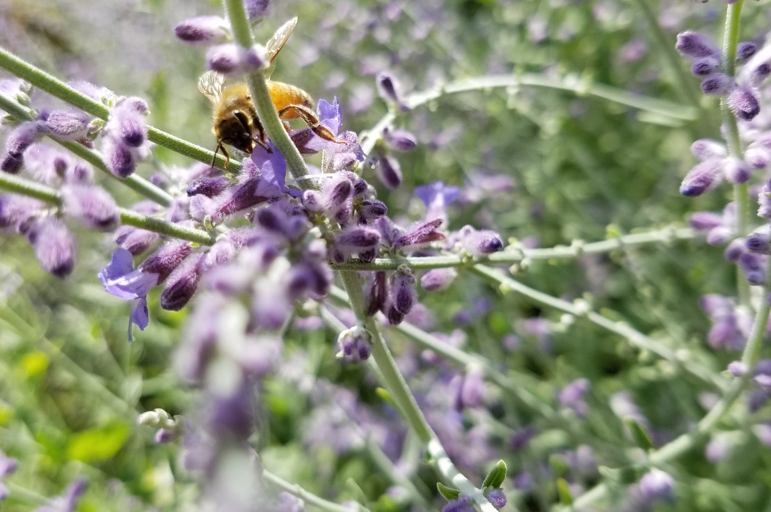 How to Ethically Consume&nbsp;Porn