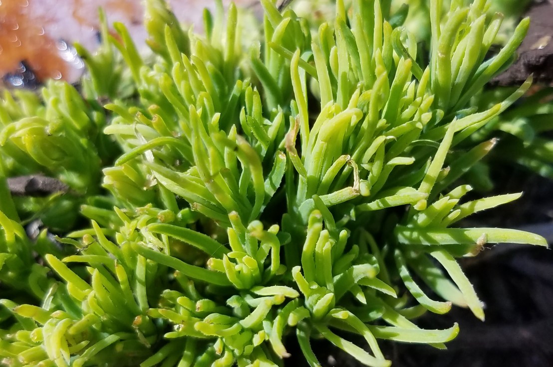 Productive Conversations