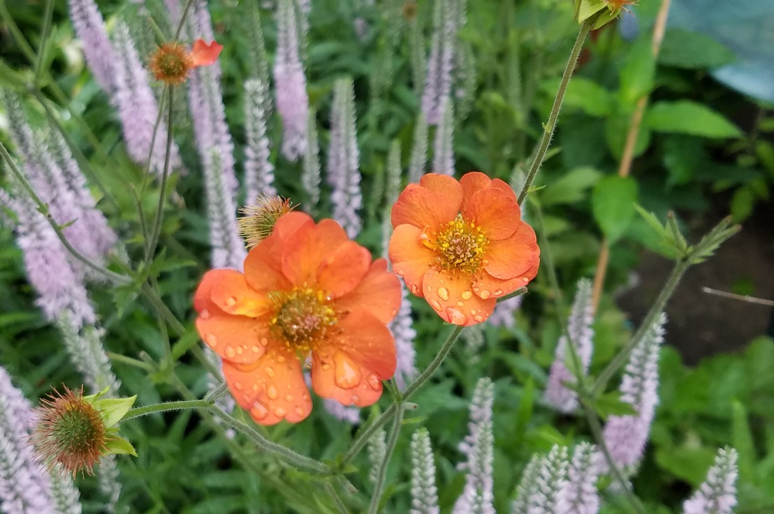 Talking to Kids About&nbsp;Porn