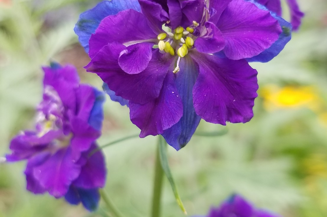 What do You Owe&nbsp;Others?