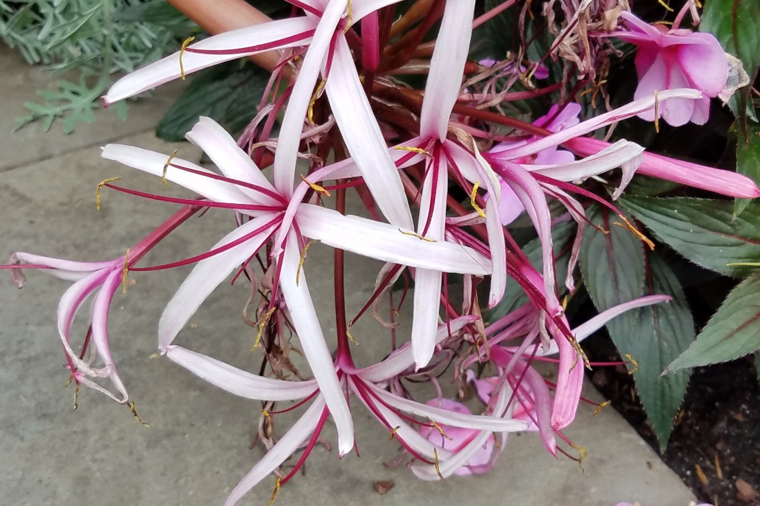 Responsible Authority and&nbsp;Leadership