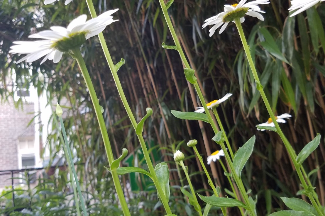 Sexual Pleasure is a&nbsp;Right