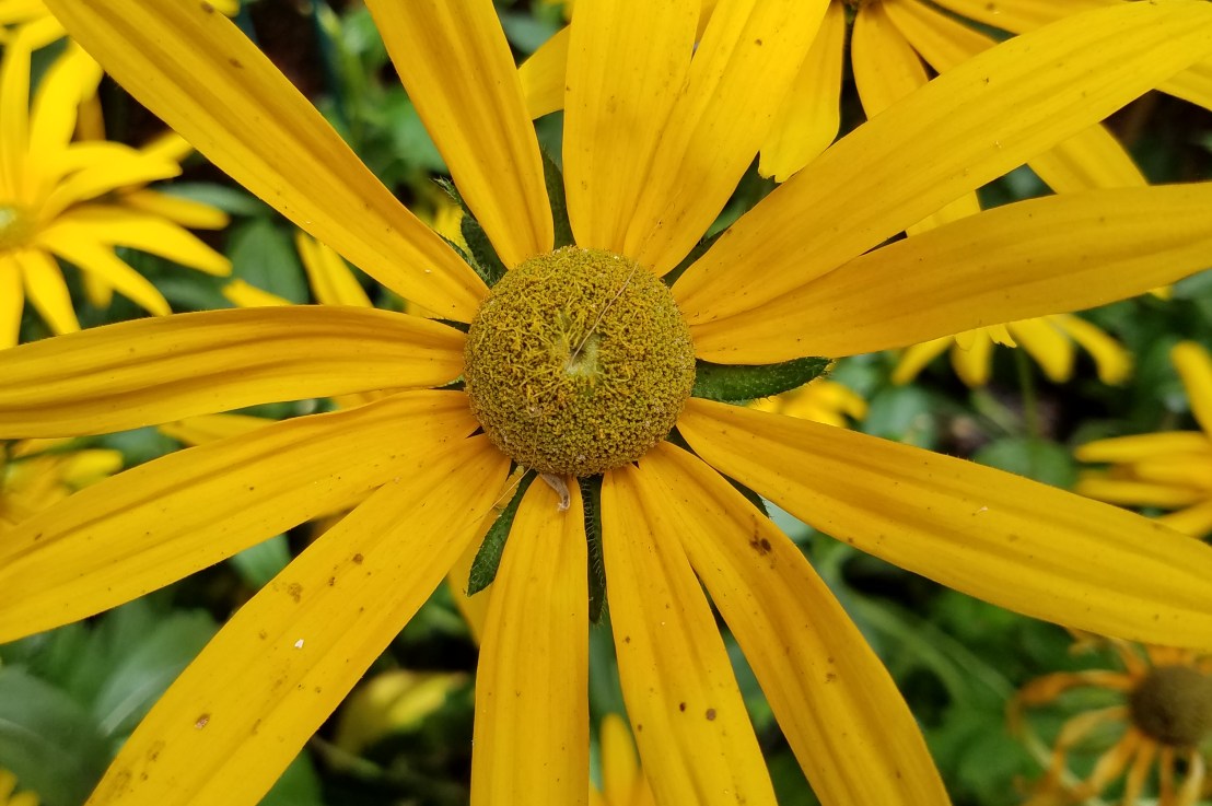 Learning Spaces Cannot be Safe&nbsp;Spaces