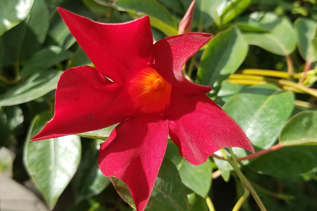 PMS isn’t a&nbsp;Personality