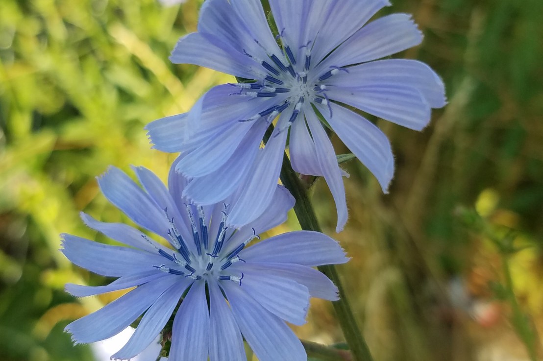 Transitioning the Burden of Emotional&nbsp;Labor