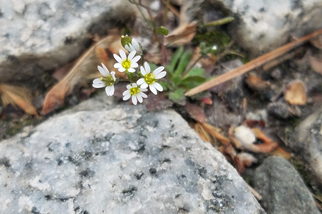 Fix the Small&nbsp;Problems