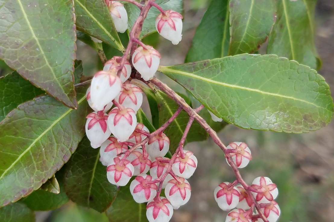 Consensual Kinks Aren’t&nbsp;Unethical