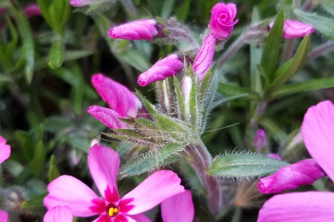 Negotiating Sex with Shy&nbsp;People