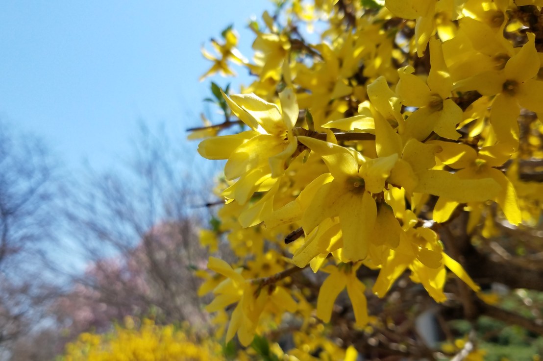 What Should Men&nbsp;Do?