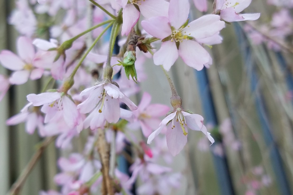 Sex is Risky (But&nbsp;Good!)