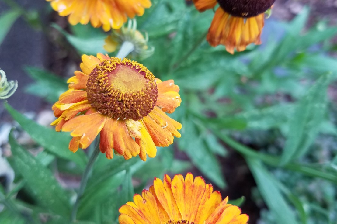 Polyamorous Logistics!