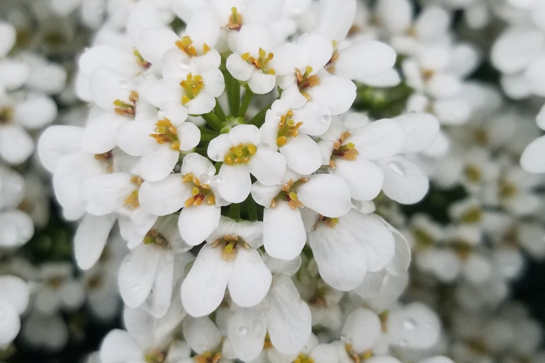 Polyam Motivation! Why Open&nbsp;Up?