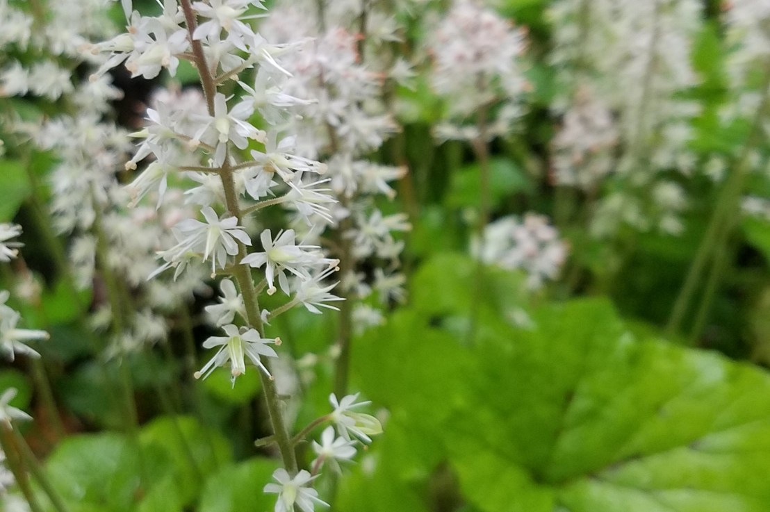 Shut up, Shut up About&nbsp;Calories