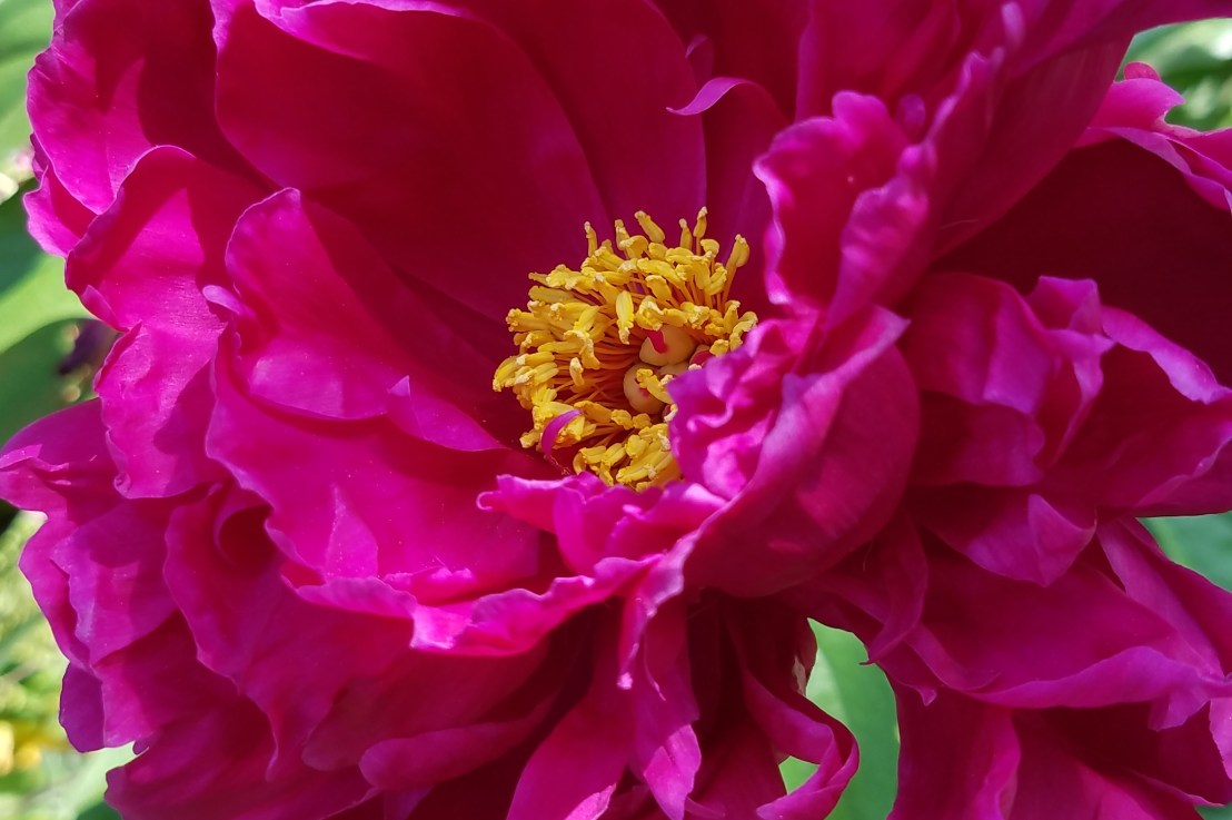 Who You Are in “Real&nbsp;Life”