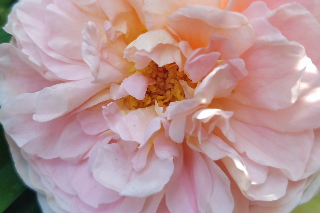 How Should a Community Respond to&nbsp;Abuse?