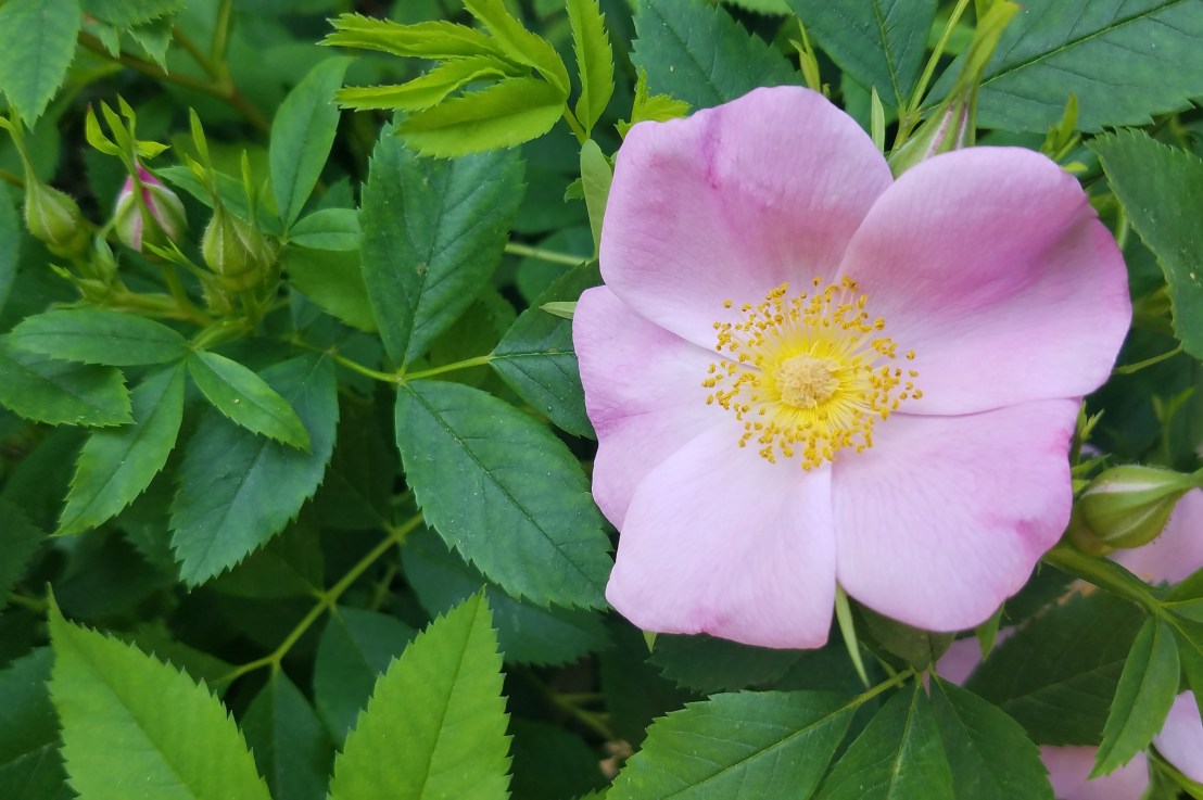 Where Are Their&nbsp;Exes?