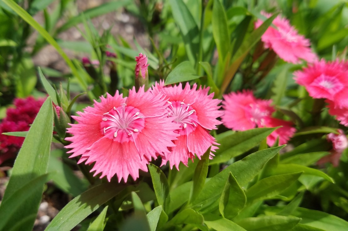 Why Shouldn’t Cops Be at&nbsp;Pride?
