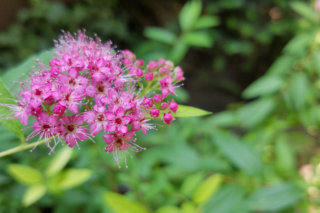 Is Bisexuality Transphobic?