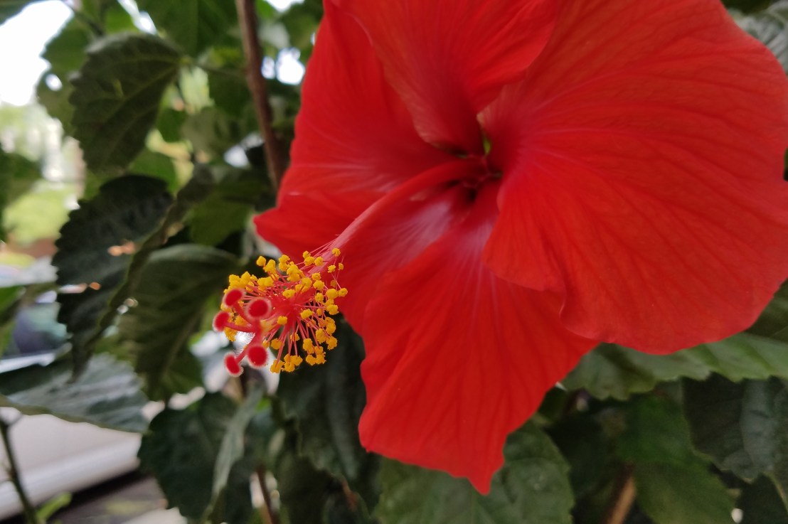 We’re Here and We’re&nbsp;Queer