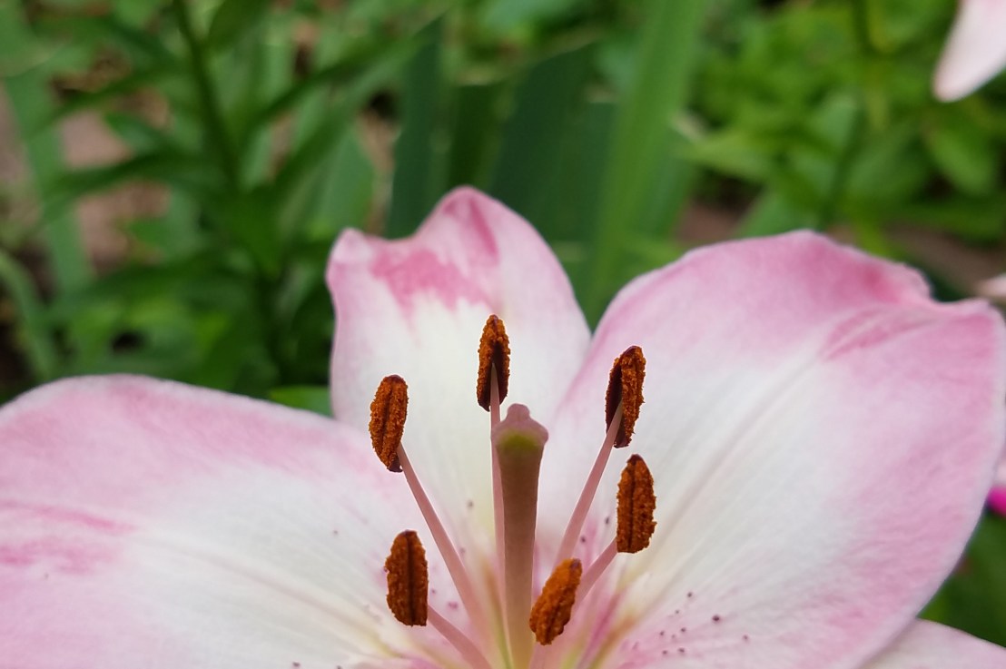 Q is for&nbsp;Questioning