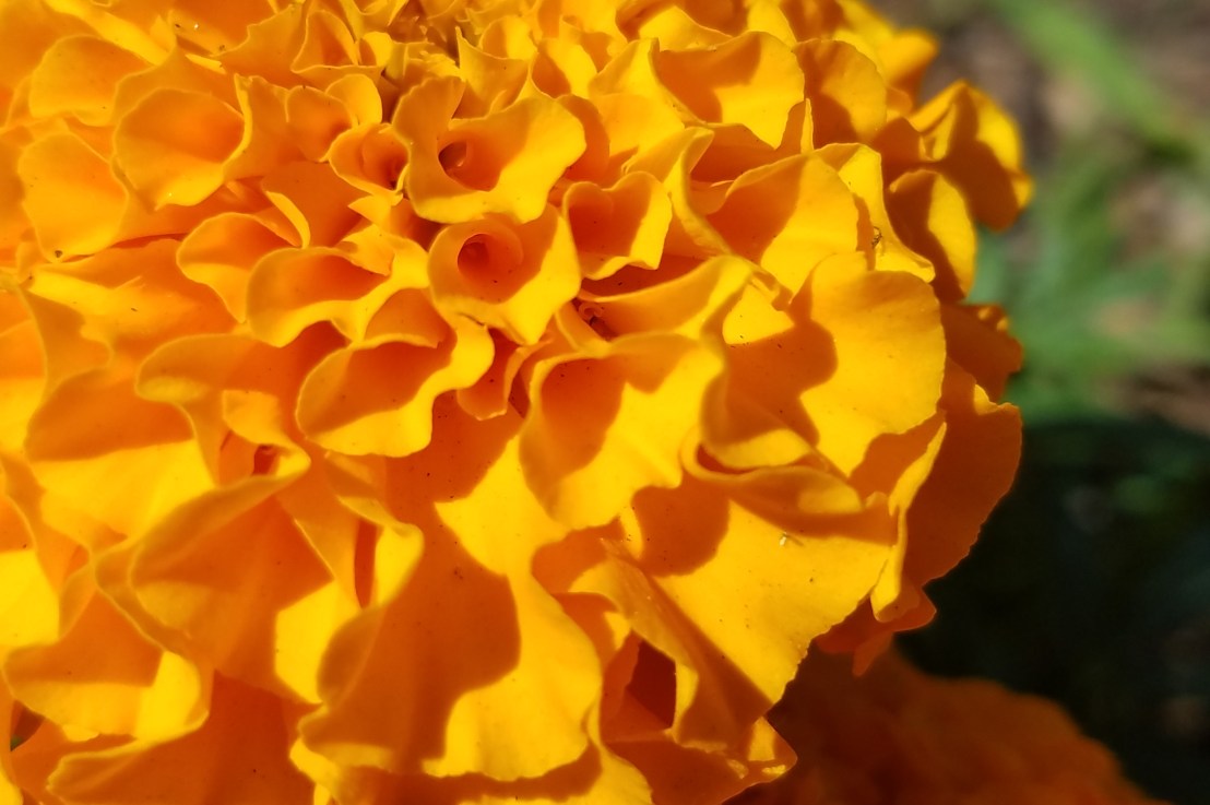 Sexual Trauma and Queer&nbsp;Rights