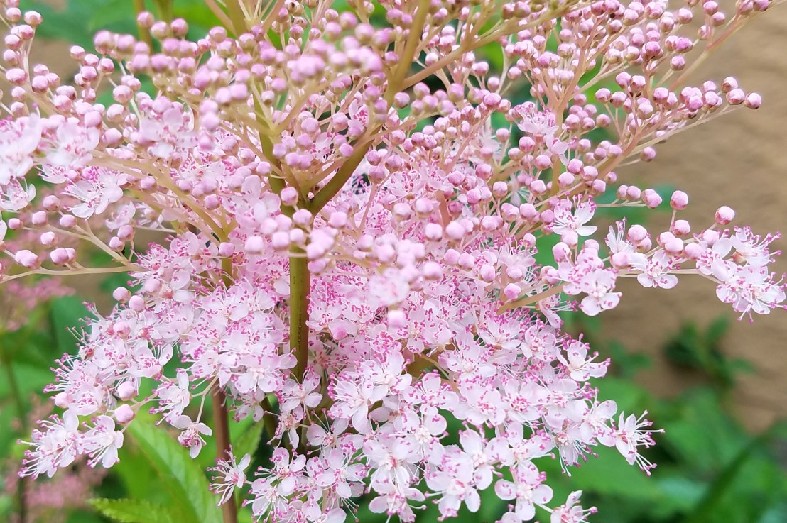 When NOT to Use Singular&nbsp;They