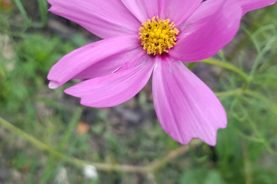 Misgendering: Never Okay!