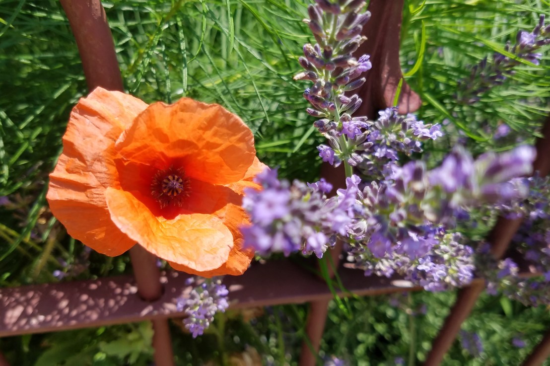 No Rewards for the Bare&nbsp;Minimum