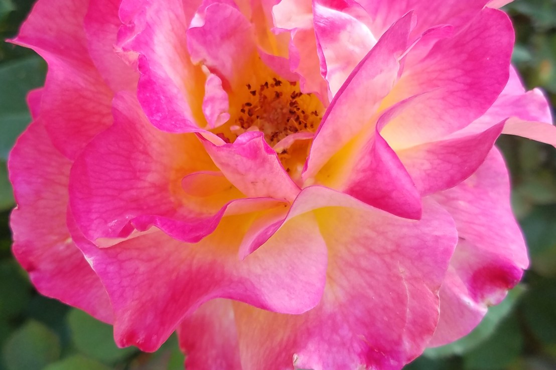 What Gaslighting Isn’t