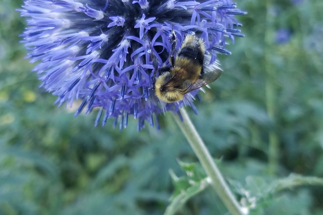 What is Gaslighting?